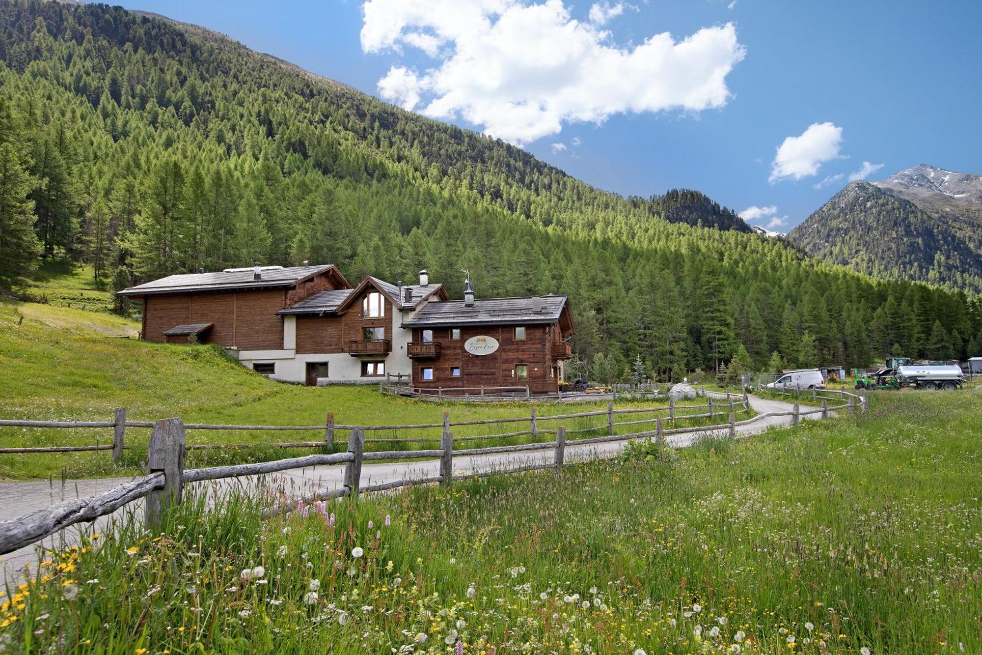 Ferienwohnung Agriturismo Bosco D'Oro 1 Livigno Exterior foto